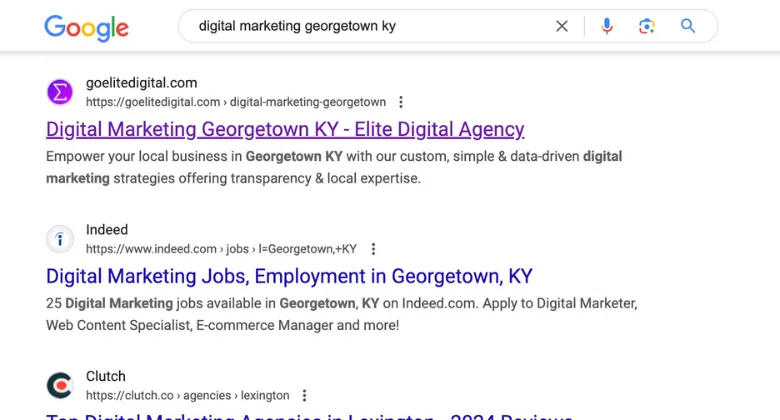 Screenshot of Google search results for "digital marketing georgetown ky".