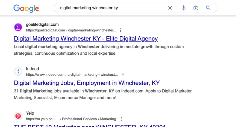 Google search results for digital marketing services in Winchester, KY.